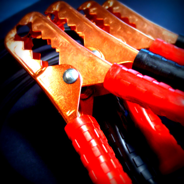 My Starter Melted Woosley Coaching